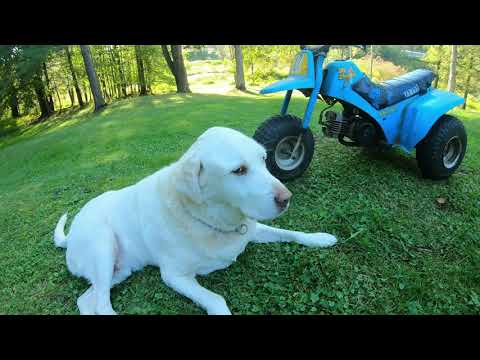 Talking about every vehicle I've had