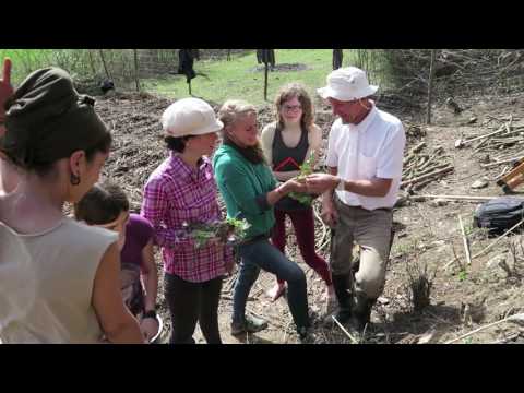 Syntropic Agroforestry in Spain with Ernst Götsch