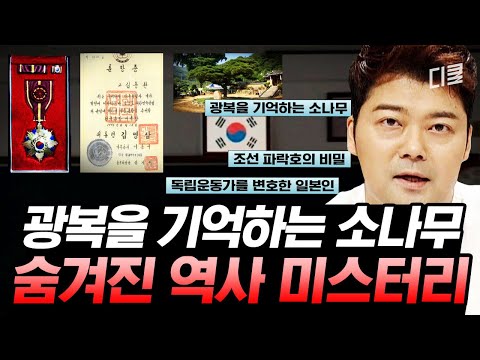 (1시간) 국내 유일 광복 기념물 소나무🌳 우리가 꼭 기억해야 할 역사의 순간들 | #프리한19