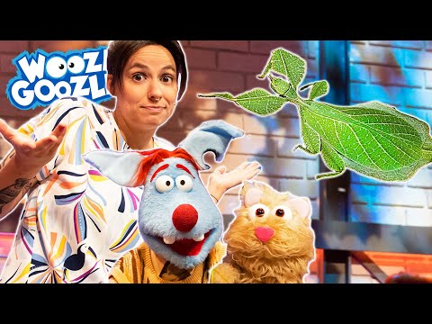 Welche Tiere sind komisch? l WOOZLE GOOZLE