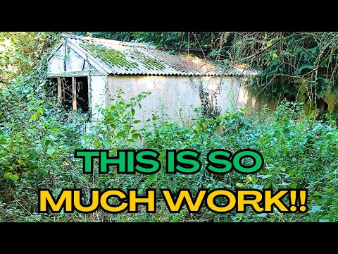 Will This Epic Garden Restoration FINISH me off? Should I Just QUIT?