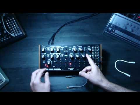 DFAM Minimal Techno From Scratch