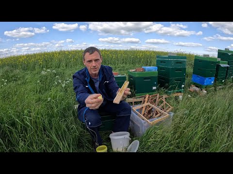 Guckt es lieber nicht an - es geht um Zucht ;)