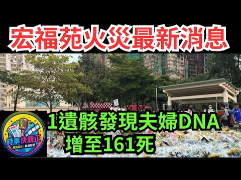 宏福苑火災最新消息!!!  1遺骸發現夫婦DNA增 至161死 不排除死亡數再增!! #全城熱話 #網絡熱話 #社會時事 #社會熱話 #時事 #社會新聞 #民生 #港聞  #AI新聞 #新聞簡報