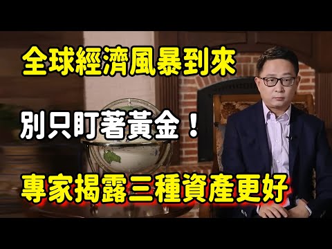 全球經濟風暴“即將到來”！別只盯著黃金！專家揭露：“這三種資產”才是聰明人長期持有的終極財富！ #美国 #馬未都 #圓桌派 #竇文濤 #脫口秀 #真人秀 #鏘鏘行天下 #台灣 #宋鸿兵