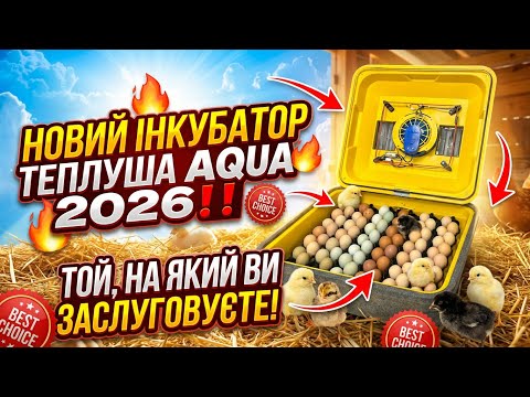 Інкубатор на який ви заслуговуєте‼️НОВИЙ Інкубатор Теплуша AQUA 2026