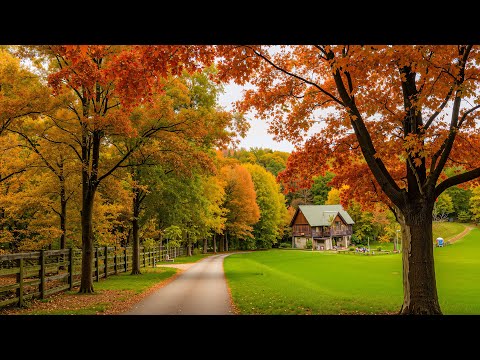 Beautiful Relaxing Music For Stress 🍁 Soothing Autumn Music, Anxiety Relief, Relax
