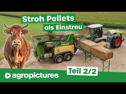Strohpellets als Einstreu in der Tierhaltung | Krone Premos 5000 im Lohnunternehmen Lorenz Waldinger