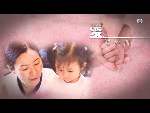 TVB 星期日檔案｜愛濃於血(繁／簡字幕)｜ 無綫新聞｜ TVB News
