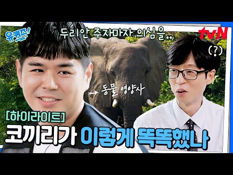 두리안을 준 사육사를 보더니 고개를 휙? ㅋㅋ 생각보다 놀라운 코끼리의 지능 #highlight#유퀴즈온더블럭 | YOU QUIZ ON THE BLOCK EP.304