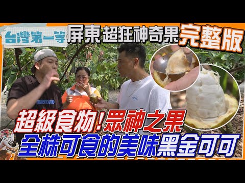 [全新] 屏東【夜訪屏東奇人 專長尋猛禽、能與鳥類對話?!/意想不到的眾神之果 全株入菜的黑金可可/天然純手工 客家梔子花粉粿】│2024.12.29│《台灣第一等》完整版