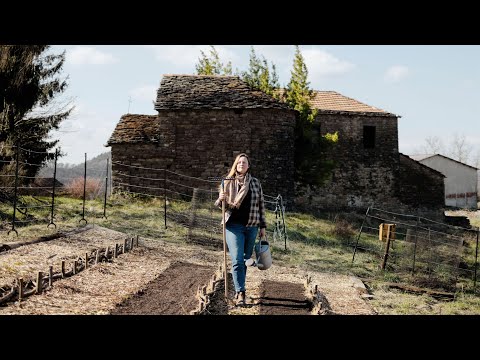 Coppicing Hazel, Weaving Fences & the Garden Taking Shape (#71)