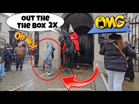Stubborn Tourist Warned Twice — Guard Finally Moves Horse!