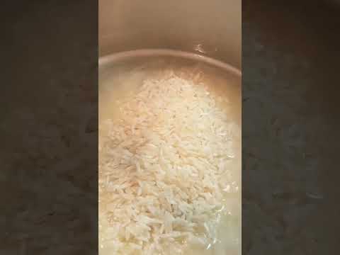 Perfect Rice Every Time 2024