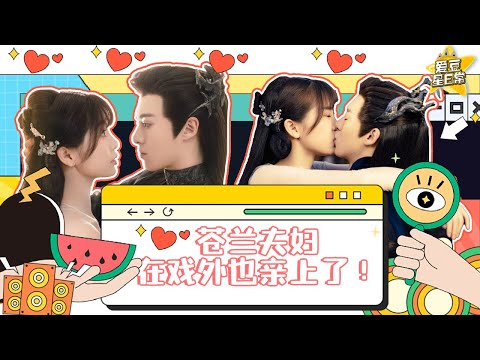 #虞书欣 #王鹤棣 #危险派对 彩排全程眼神拉丝 超多肢体接触 苍兰夫妇在戏外也亲上了！#苍兰诀  ★爱豆星日常★