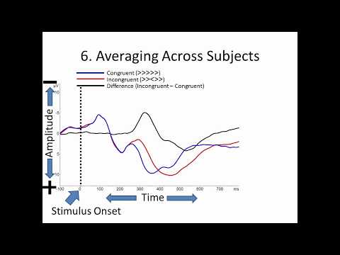 An introduction to EEG analysis: event-related potentials
