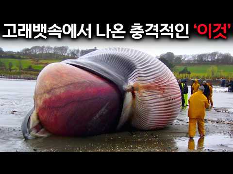 The creepy tracks left behind by the inexplicable white whale