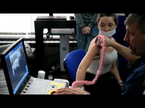 Семинар «Методика ультразвукового исследования кисти» для врачей УЗД. Часть 2