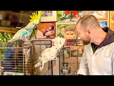 Мы с Владом ТАКОГО НЕ ОЖИДАЛИ! Кира с Жориком просто кинулись на доктора Василия!