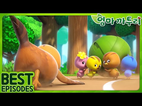 엄마 까투리 | Best | 넘어졌어요! | 베스트 에피소드 모음