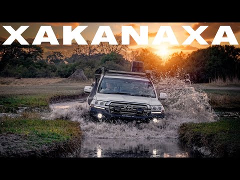 XAKANAXA BOTSWANA | MOREMI GAME RESERVE  | SELF DRIVE SAFARI