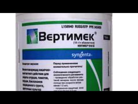 VERTIMEK FOR ROSES. ROSE DISEASES, HOW TO WIN?