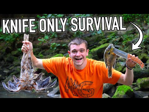 Knife ONLY Survival Challenge! (No Food, No Water, No Shelter)