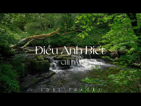 Điều Anh Biết, Cô Gái M52, Người Âm Phủ, Ex's Hate Me - Top Hits Nhạc Trẻ Gây Nghiện Cực Chill