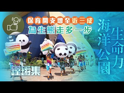 鏗鏘集：海洋公園生命力