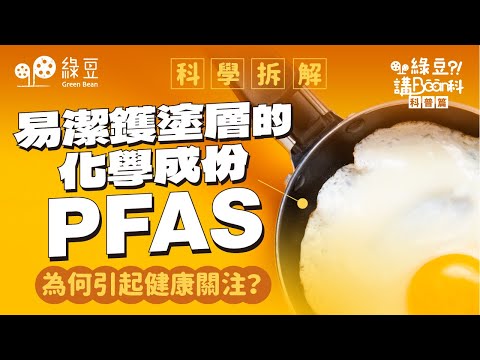 科普篇 第十五講｜易潔鑊塗層含PFAS？你需要知道的健康風險與科學真相