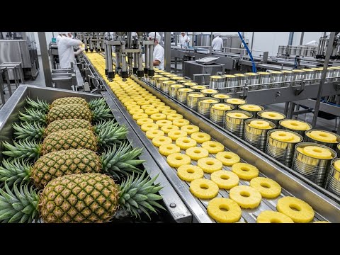 Inside a Modern Pineapple Canning Factory (ASMR): A Satisfying Farm-to-Can Process