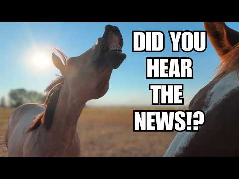 We are leaving Montana!