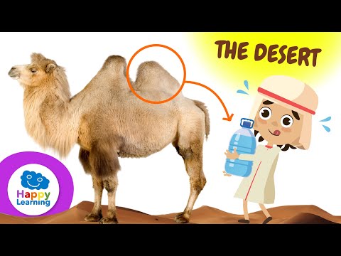 CURIOSITIES ABOUT DESERTS | Happy Learning 🏜️ 🐪