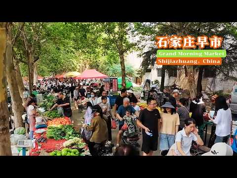 规模超大的市区早市,人潮汹涌的早餐天堂。石家庄市最大最繁华的早市烟火气爆棚,牛肉盖火烧油香扑鼻,杂粮饼软糯香甜,梅菜扣肉饼酥脆喷香,传统老豆腐卤味香醇,杂粮饼子香软酥脆,这个热闹的早市不容错过