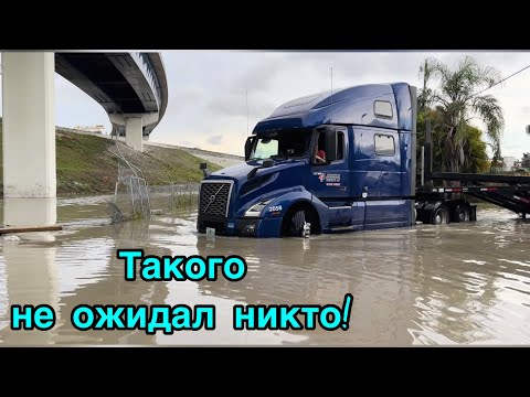 Потоп в Майами и его последствия