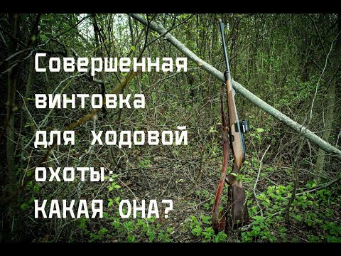 Винтовка для охоты: опыт за 10 лет