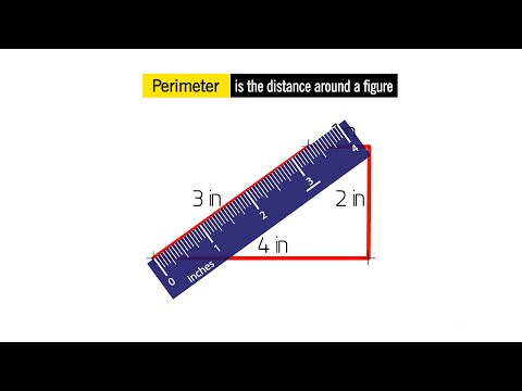 Find Perimeter. Grade 3