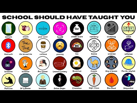 Everything School Should Have Taught You