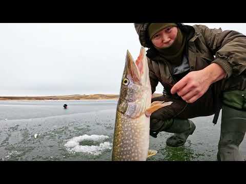 оз.КЕНЕТАЙ, лёд трещит. ЩУКА, окунь....