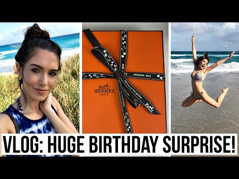 VLOG: HUGE BIRTHDAY SURPRISE! | Shea Whitney