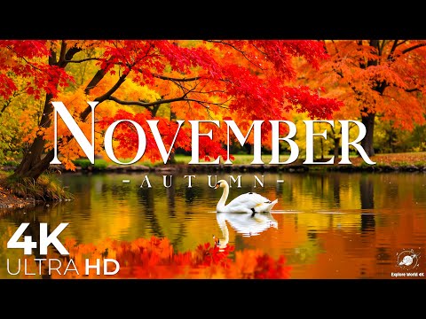 4K Beautiful Autumn in November 🍁 Peaceful Fall Landscapes with Vibrant Colors & Relaxing Music