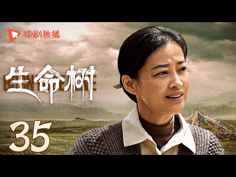 生命树 35 | Born to be alive 35（杨紫、胡歌、李光洁、张哲华、杨烁、梅婷 领衔主演）
