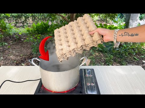 Millions of people don't know this secret😱!! Secret uses of paper egg trays