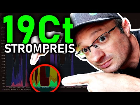 19Ct statt 40Ct Strompreis 2023 - So geht's !