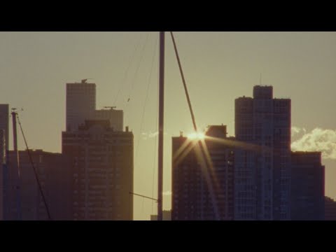 Djo - T. Rex Is Loud (Official Visualizer)