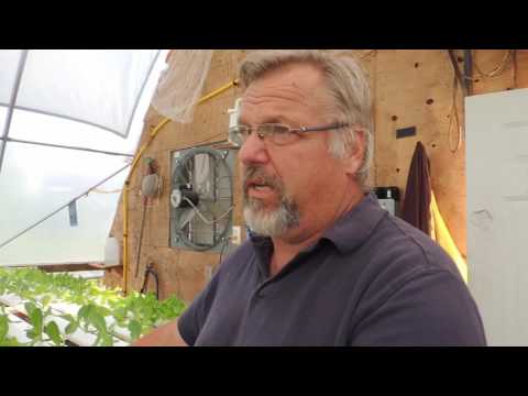 OUR HYDROPONIC LETTUCE HOUSE AND HOW IT ALL WORKS !