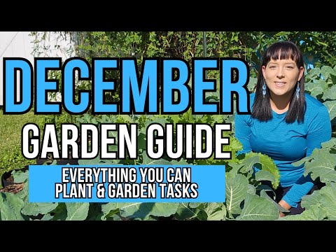 December Garden Guide - Everything You Can Plant NOW Or Start From Seed #garden #gardeningtips #grow