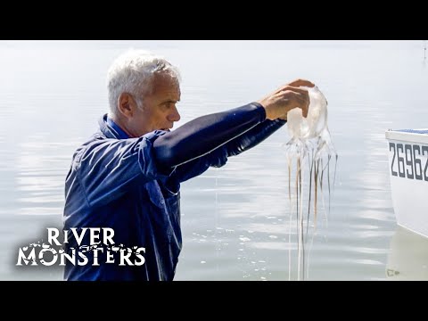 River Monsters Full Episode - Season 8, Episode 2 - Death Down Under