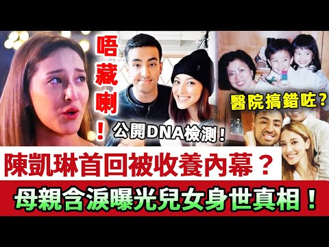 徹底唔藏喇！陳凱琳首次回應「被收養」內幕，與細佬非父母所親生？姐弟混血同父母家姐兩模兩樣！現被逼公開DNA，母親含淚曝出兒女身世真相！#陳凱琳 #娛記太太
