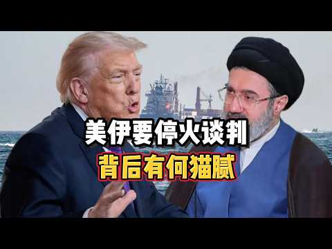 美伊要停火谈判,背后有何猫腻?